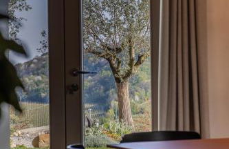 Tenuta Duchi Corbanus - Foto 71