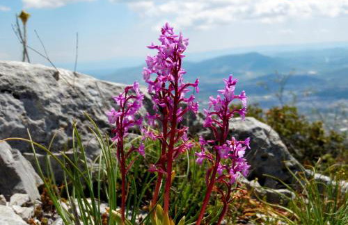 Villa Kalliopi - Foto 40