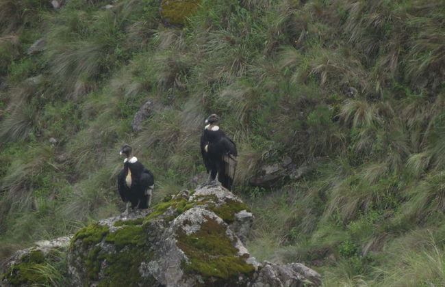 Trekking por el Pucará de Aconquija - Foto 7
