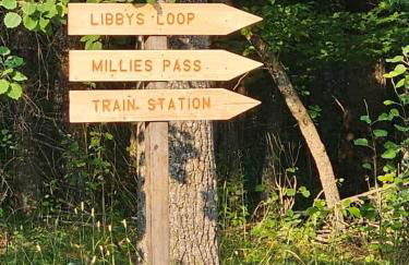 Luxury Lodge on 40 Private Acres • HUMM Sauna • Party Barn • - Foto 48