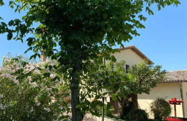 Cardinal Girolamo - Foto 19