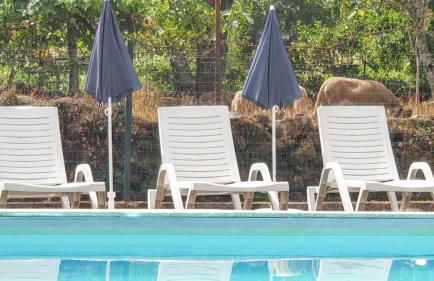 Cozy studio with mountain view - 20 m² - Águeda - Foto 47