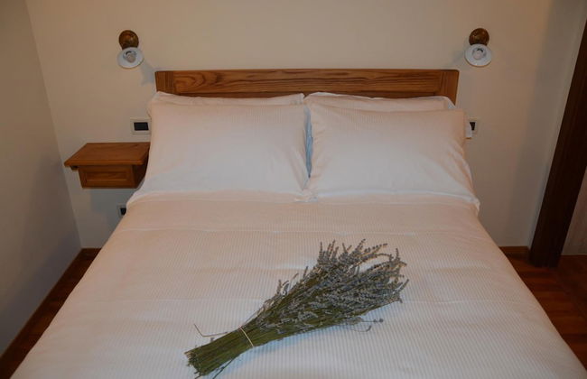 Fattoria Lucciano - Foto 15