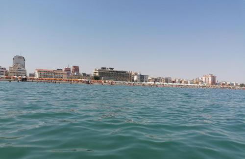 Fenicottero Rosa - Foto 36