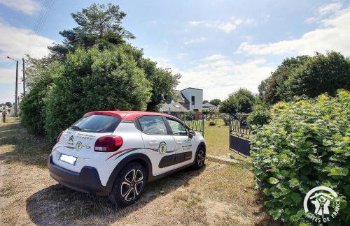 O nid des greves - Foto 33