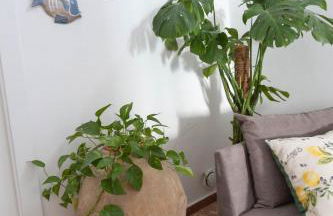 Casa Giosuè - Your home on the Amalfi Coast - Foto 28