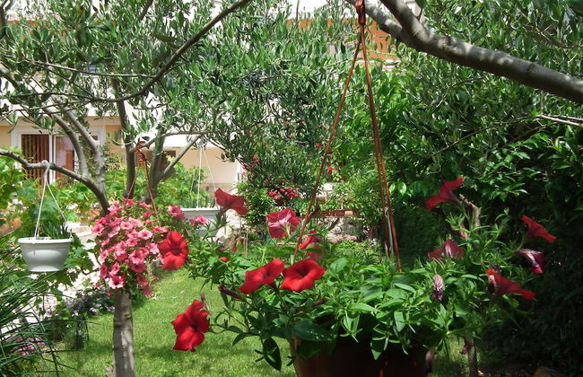 Villa Jadranka Privlaka - Foto 56