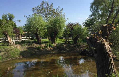 Historisches Bauernhaus für 8 Personen mit Luxus und Natur auf 2 Etagen ideal für Familien und Hunde 2500m2 eingezäunt an der Ostsee - Foto 12