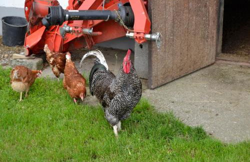 Gschwendnerhof Reitberger-Brandl - Foto 46