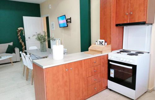 Olive house - Gargalianoi - Foto 16