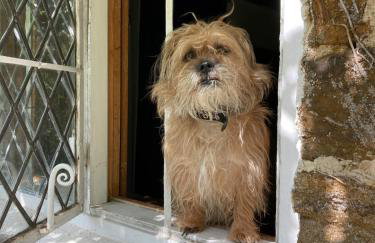 Beautiful Thatched Cottage with Piano - Foto 17