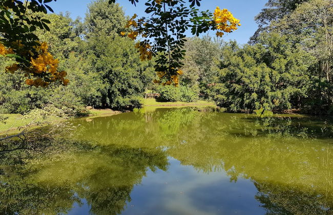 Grínberg's Village Hotel - Foto 41