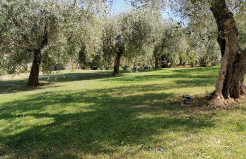 Appartamenti Gli Ulivi Di Maremma - Foto 31