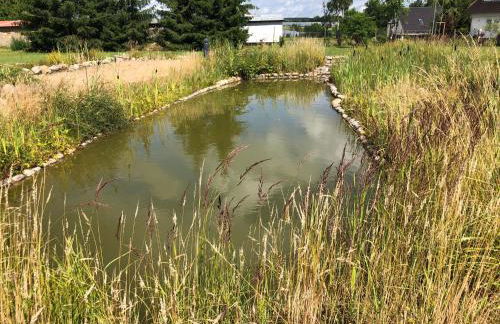 Ferienwohnung Orthsee 2 - Foto 6