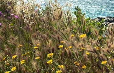 Appartement en face mer - Foto 10