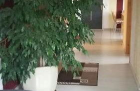 Ferienwohnung in Thurnau - Foto 13