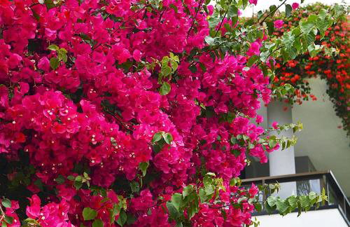 Finca Andaluz - Foto 16