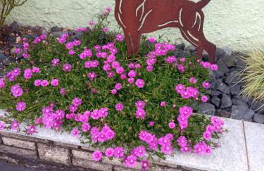 Ferienwohnung am Kocher-Jagst Radweg - Foto 16