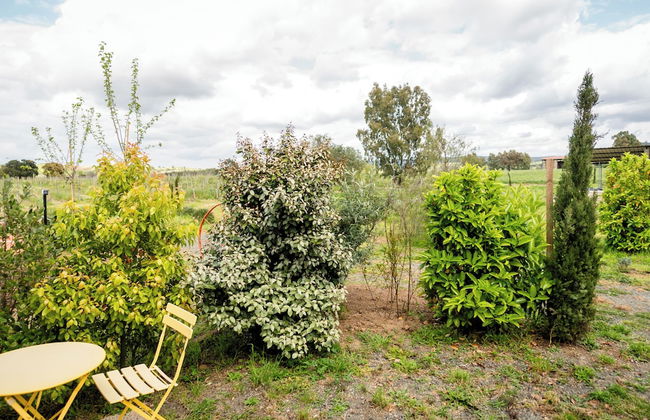 Agriturismo Bio Podere 109 - Wine & Food - Foto 39