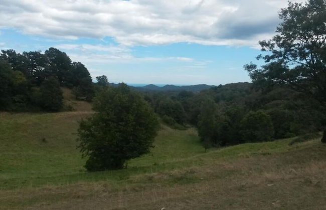 Locanda San Rocco - Foto 13