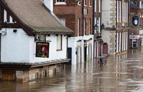 Jenson Cottage - Photo 37