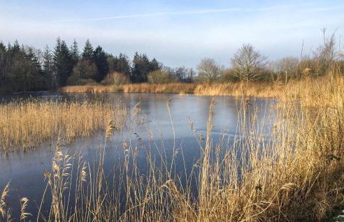 Cozy Home In Langenhorn With Wifi - Foto 26