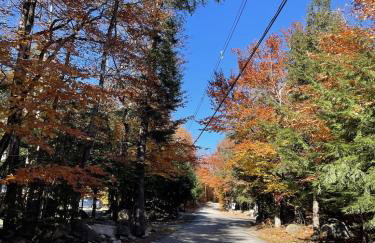 BLUEBERRY MORE LIMIT 17 home - Foto 37