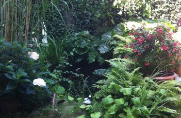 Daheim in Essen - Foto 66