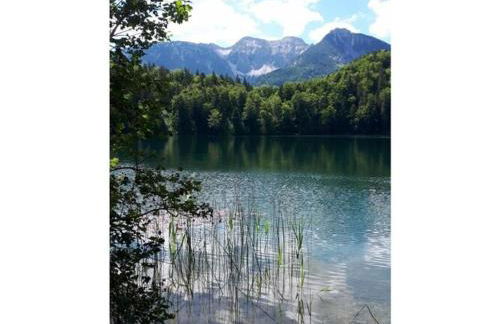 Holiday apartment Alpenrose - Foto 34