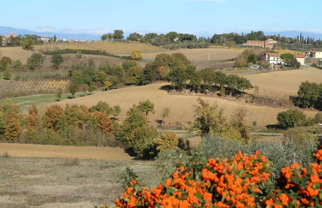 Home, Foiano Della Chiana - Foto 28