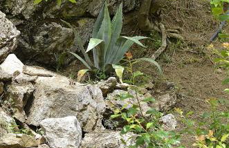 Agriturismo Cornali - Foto 80