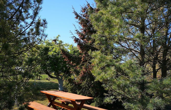 Rural tourism homestead JOLE - Photo 32