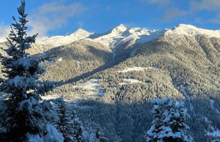 Panorama Marilleva 1400 - Val di Sole - Foto 69