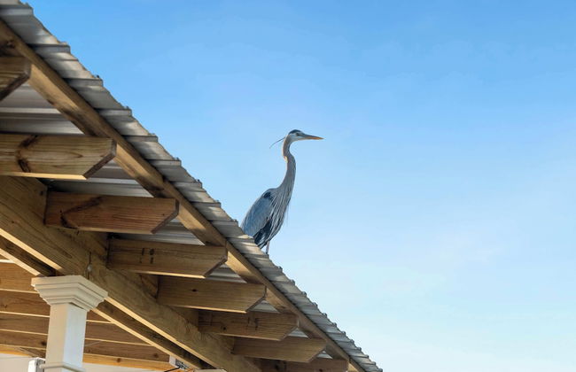 Secluded Waterfront Retreat for 23 Dock, Pets OK - Foto 31