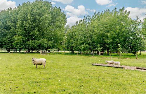 10 Bed in Barsham oc-rrest - Photo 16