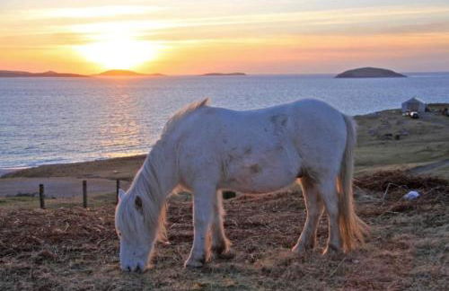 Smiddy Cottage - Foto 13