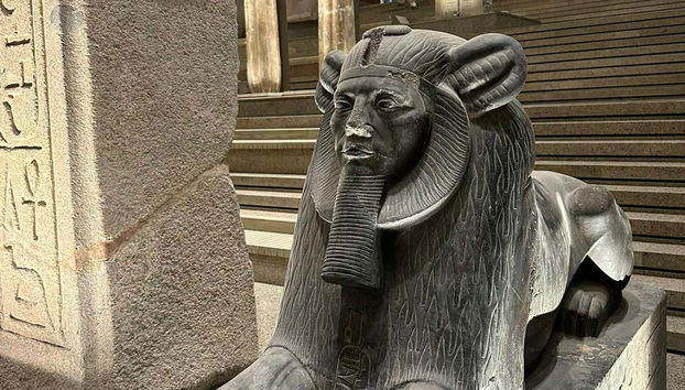 Sphinx sur les marches du Grand Musée égyptien du Caire