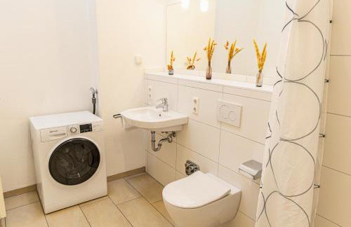 Apartment, close to Europa Park, Alsace, Black Forest, family friendly, dogs allowed - Foto 9