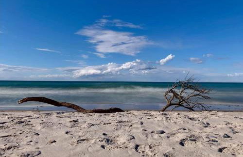 Ferienapartment Wiese & Meer auf Rügen - Foto 22