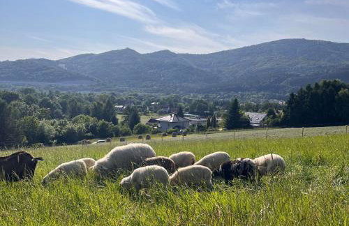 Dom Przy Czerwonym Szlaku - The Red Trail Cottage - Foto 5