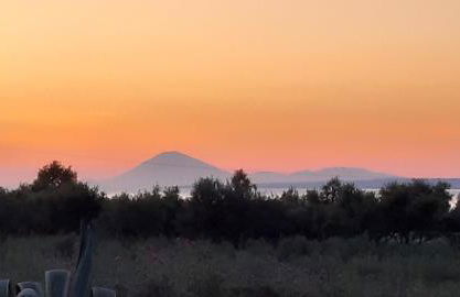 Hannas Paradise - Villa Evi - Photo 4