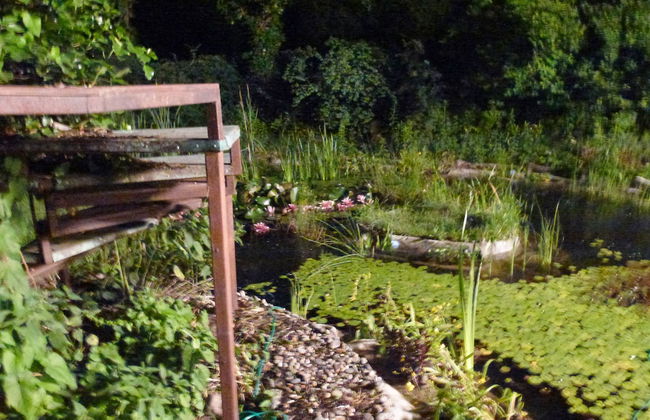 Villa-Hufeland - Foto 51