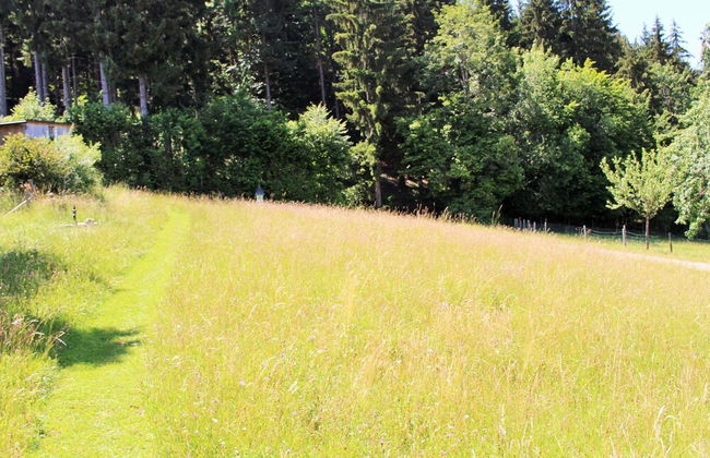 Cozy Apartment in Köttmannsdorf near Lake - Photo 30