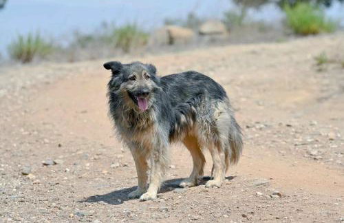 A Serenada Enoturismo - Foto 53