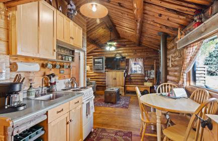 Wild Bills Cabin - Foto 11