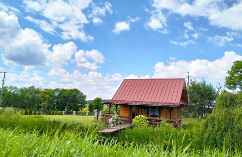 Nad żabim stawem - Foto 11