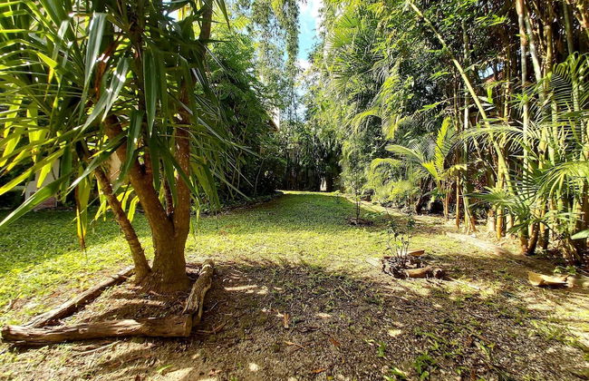 Mini Pini Birdwatching and Cenote Loft4 you Only - Foto 55