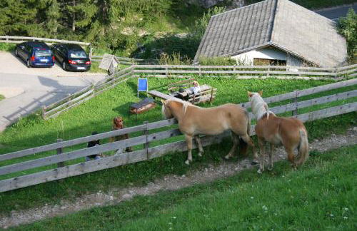 Gstattlhof Mountain Farmhouse - Foto 8