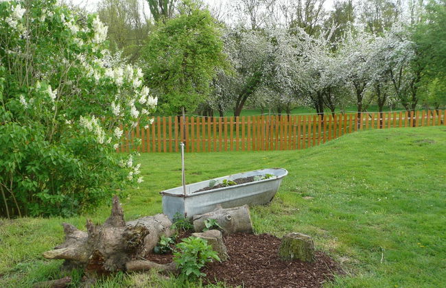 Hof Kiebitz - In Ostrau - Foto 18