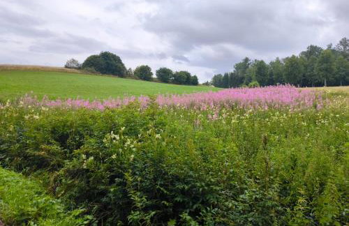 Haus Rosengarten - Foto 31